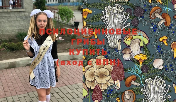 прущие крисы Белокуриха