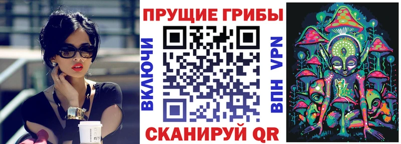 ОМГ ОМГ вход  Минеральные Воды  Псилоцибиновые грибы Psilocybe 